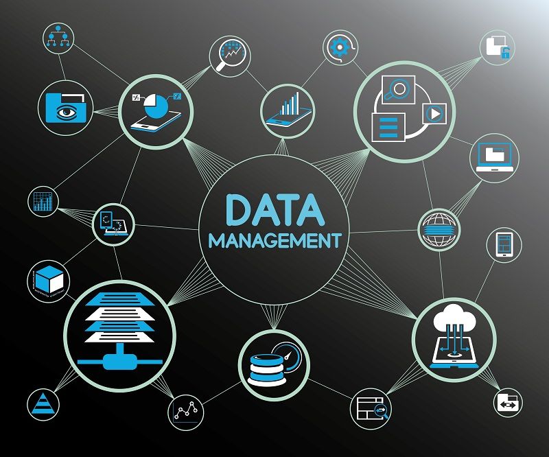 Database Management